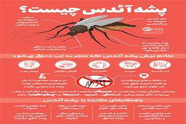 آشنایی با بیماری‌های ناشی از گزش پشه آئدس